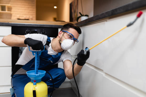 Best Best Pest Control Companies  in Lincoln, IL