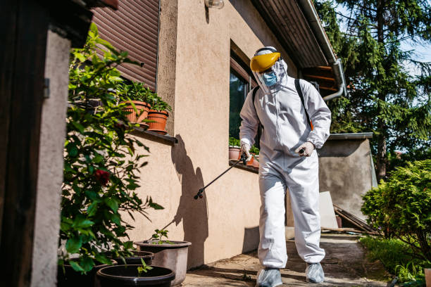 Best Bed Bug Extermination  in Lincoln, IL
