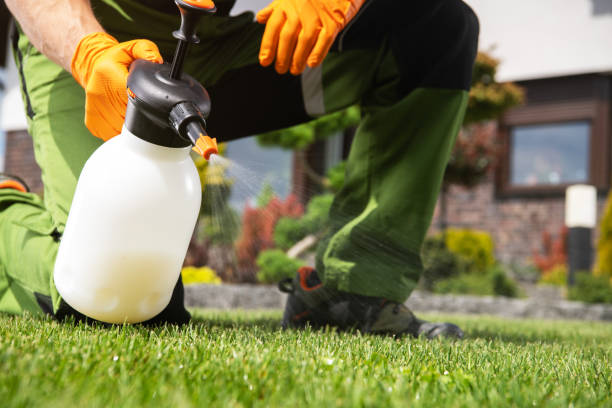 Best Bed Bug Extermination  in Lincoln, IL
