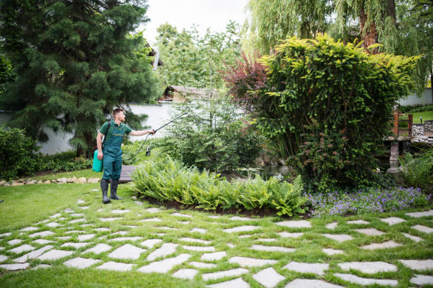 Best Wildlife Control Services  in Lincoln, IL