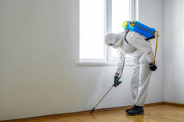 Best Best Pest Control Companies  in Lincoln, IL