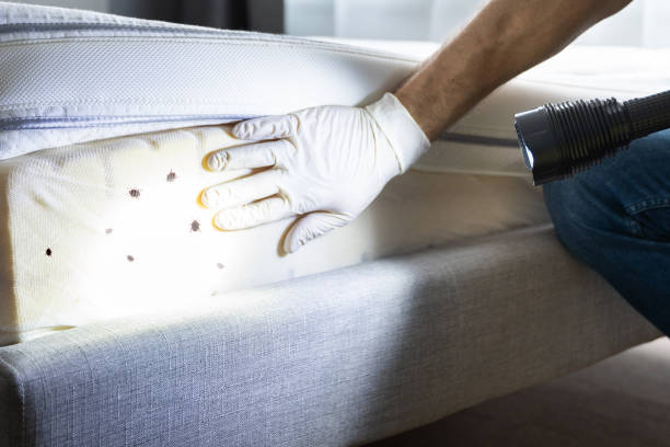 Best Wildlife Control Services  in Lincoln, IL