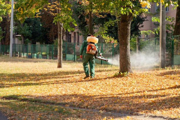Best Rodent Control Near Me  in Lincoln, IL