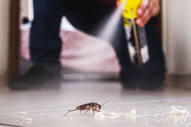 Best Pest Removal Services  in Lincoln, IL