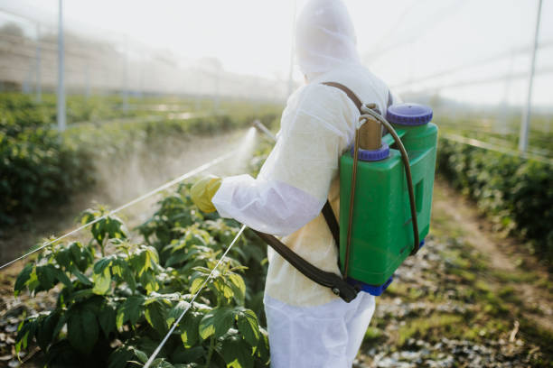 Best Best Pest Control Companies  in Lincoln, IL